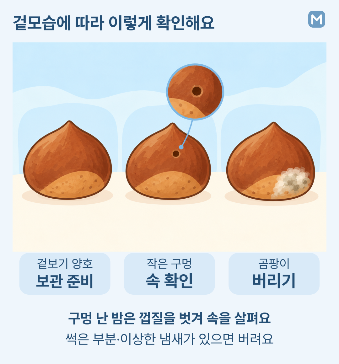 겉보기 양호한 밤은 보관 준비, 작은 구멍이 있는 밤은 속 확인, 곰팡이 핀 밤은 폐기로 구분한 비교 그림